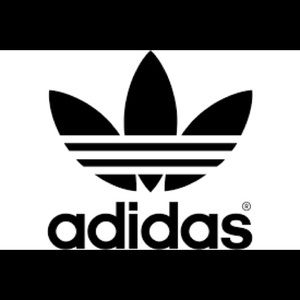 Meet your Posher, Teddy